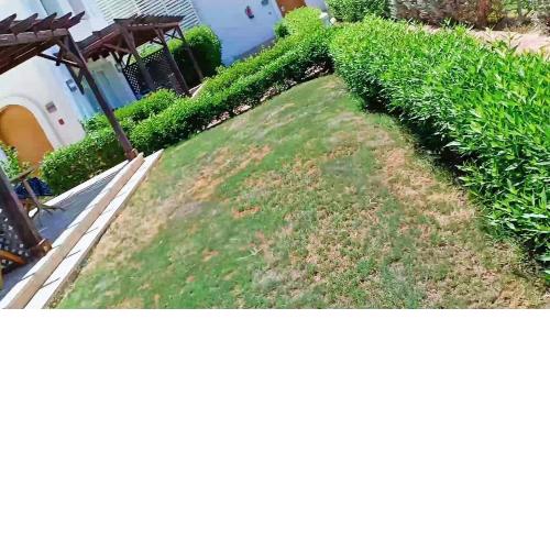 SHARM DREAMS RESORT
