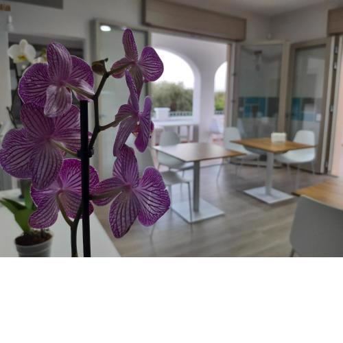 Shekhinah Bed and Breakfast
