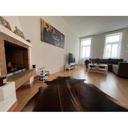 Shelby apartment