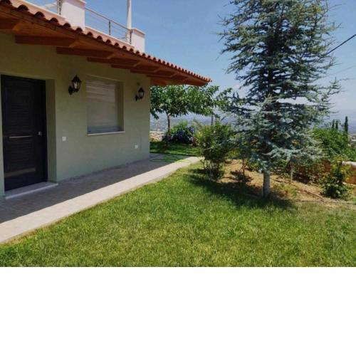 ''Shinohori'' Olive-Tree Apartment
