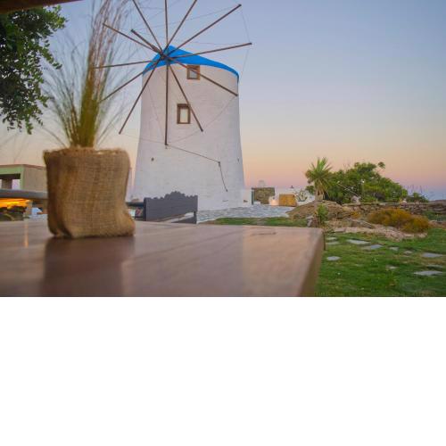 Sifnos Roots