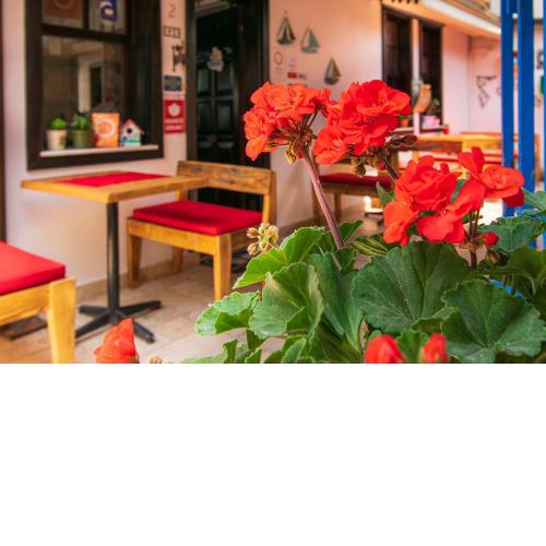 Sığacık Nossa Casa Pansiyon