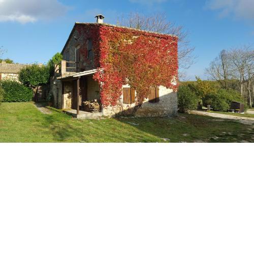 Silence and relaxation in the woods of Umbria