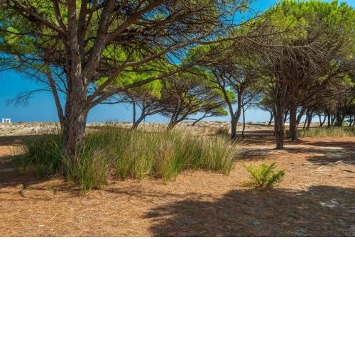 Simple Gem of Le Dimore di Budoni one Bedroom Apartment sleeps two no1601