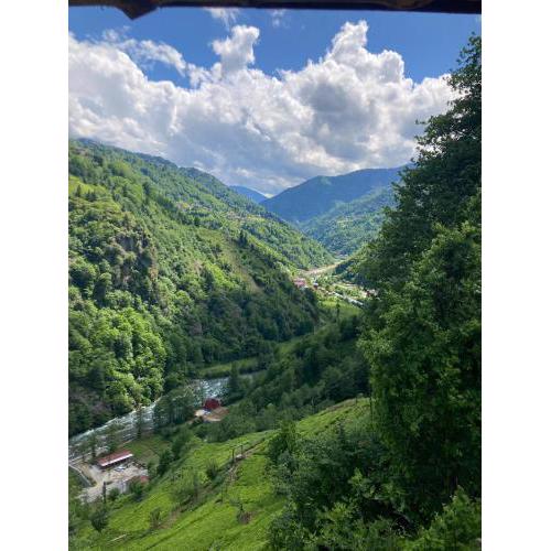 Şira Suit Bungalov