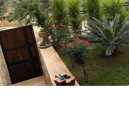 Şirin Lüks Daire / Merkez Huzur Yuvası 3+1