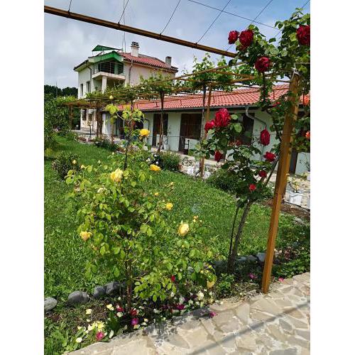 Sirius Guest House