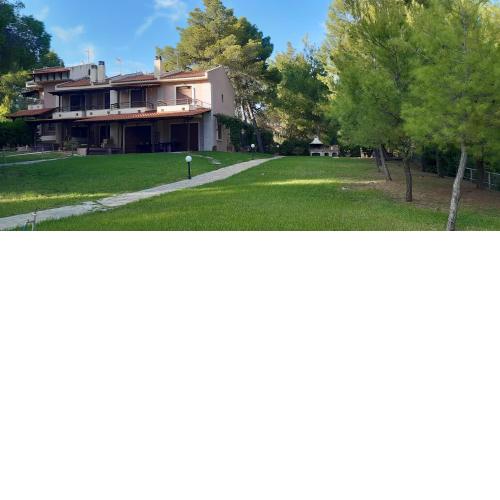 Sithonia Alekos Luxury Experience