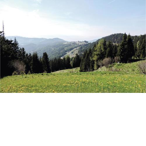 Six-Bedroom Holiday Home in Bad St. Leonhard