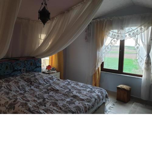 Sizin tatil eviniz