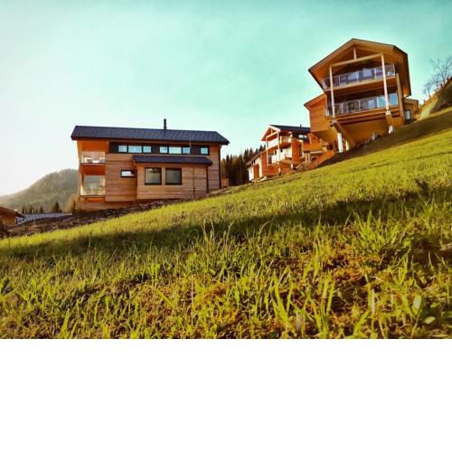 Ski In Ski Out Chalet Reiteralm 11