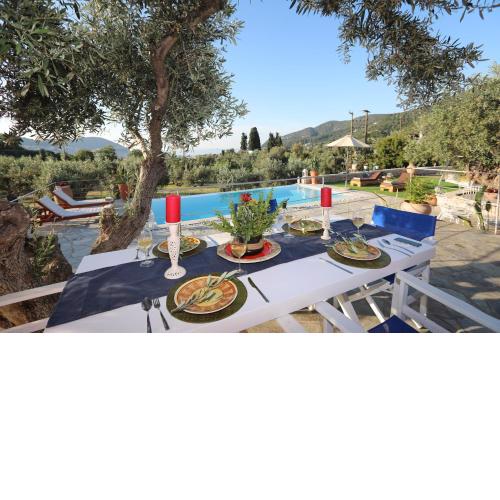 Skopelos Blue Heaven Villa in olive grove