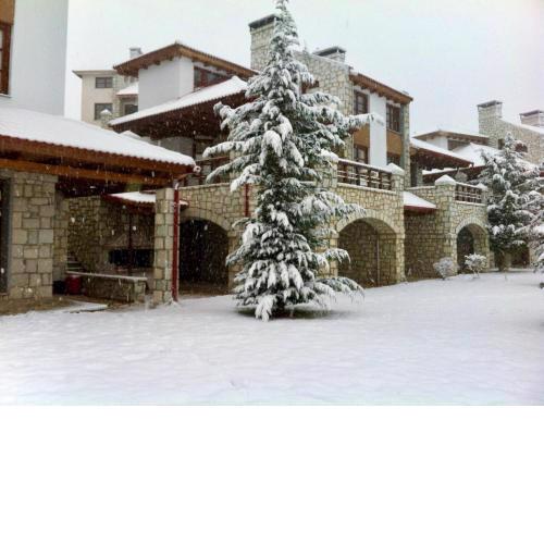 Sky Shades chalet