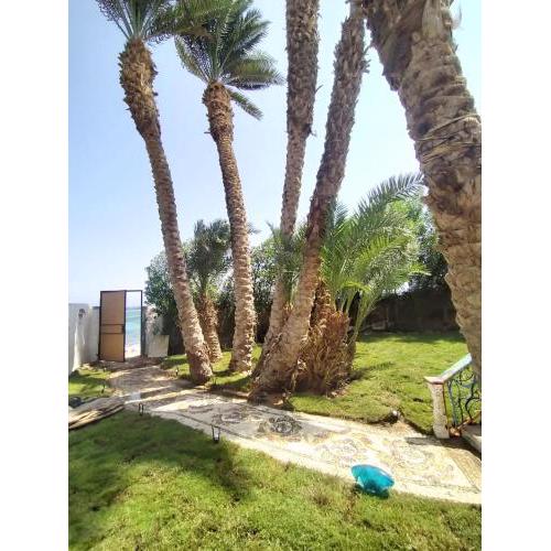 Skyrock Garden Dahab