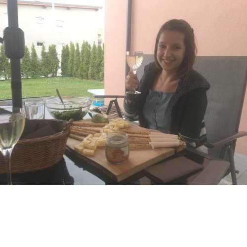 Slovenian Travel Friends Homestay