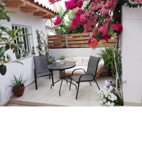 Small Studio with Yard