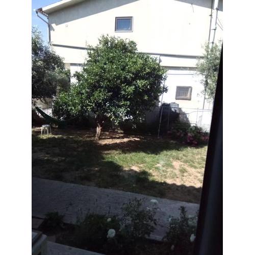 Small Vila