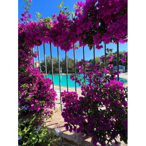 Smeralda Home Sweet Porto Rotondo
