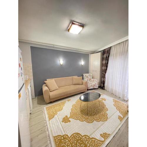 SMF Suites 1+1 2