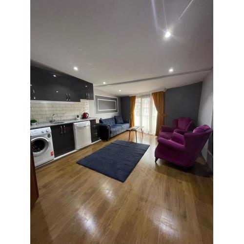 SMF Suites 1+1 4