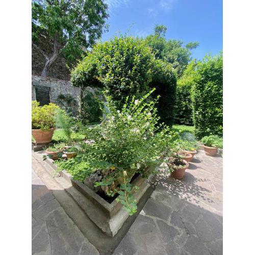 SN City Walls Garden