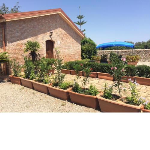 Società Agricola MG Florplant