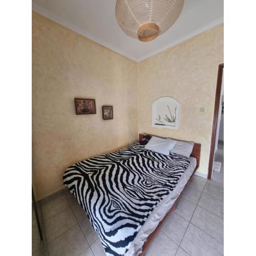 Sofia's place