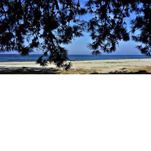 Sofi's Beach Bungalows