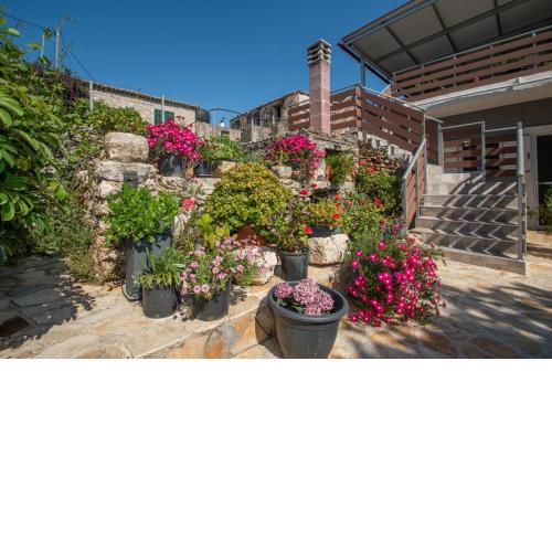 SOHORO Forest Hill Apartment