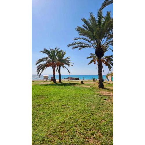 Sol Mediterráneo Palm Beach Four1