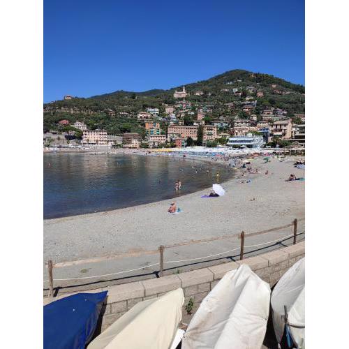 Sole e mare di Liguria