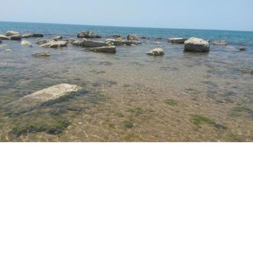 Solemare