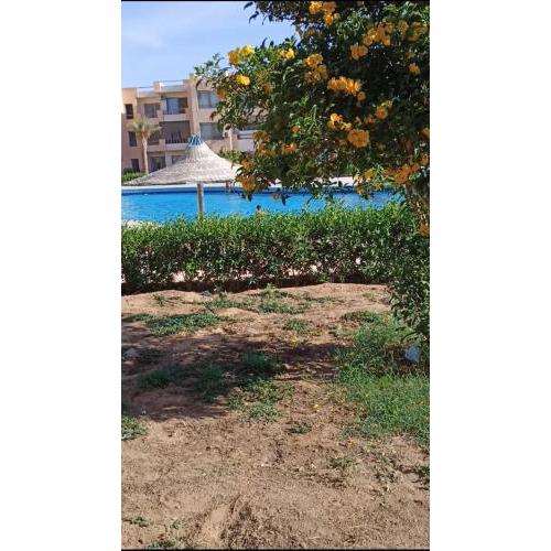 sonadora guest house