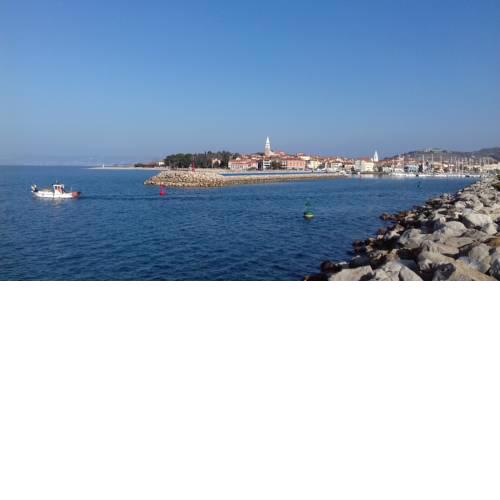 Sonce
