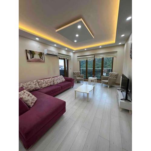 Soner Home