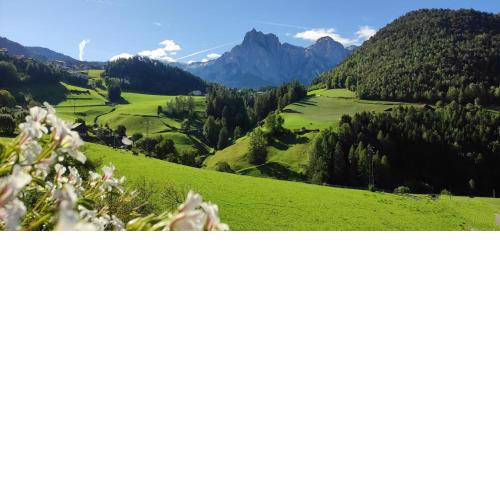 Sonnenresidenz Malfertheinerhof