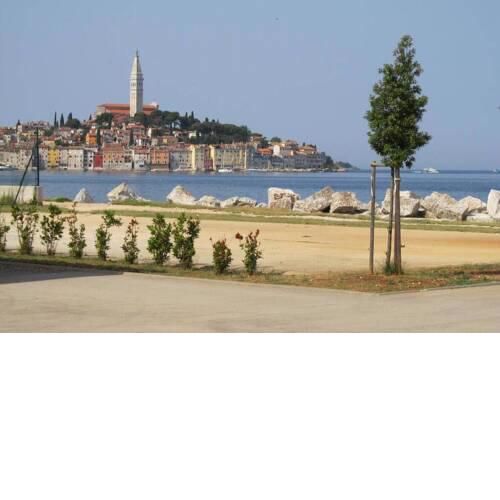 Sony with sea wiev