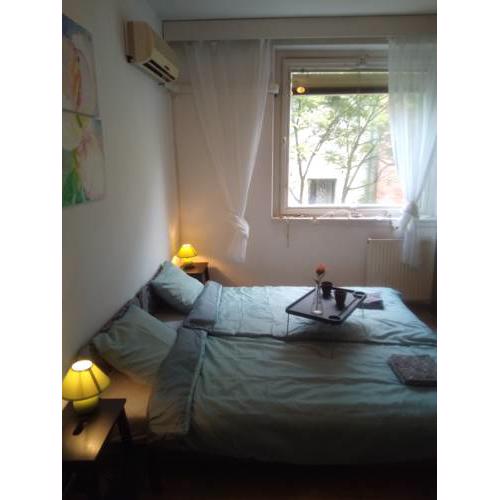 Sophie's Loft