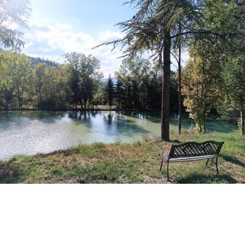 Sorgenti nel bosco Appartamento vista lago