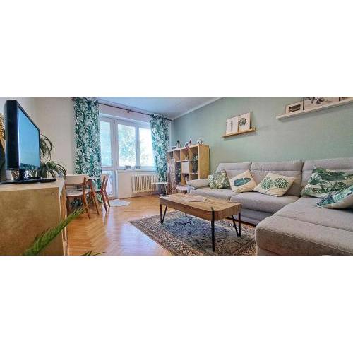Spacious 1 bed flat in Havířov