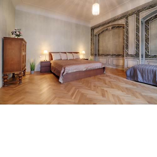 Spacious 2 bedroom Baroque appt at Charles Bridge