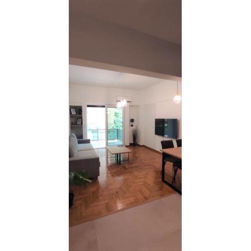 Spacious 2bdr apartment @ Pagrati