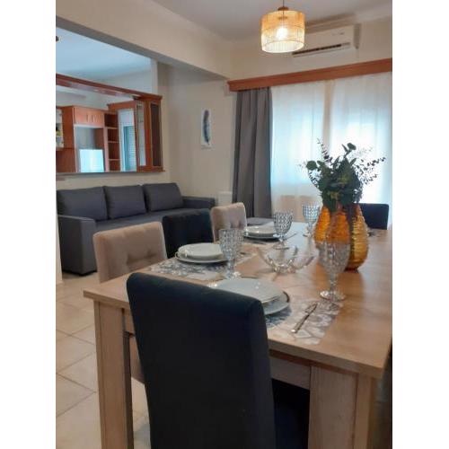 Spacious Apartment in Athens center Sepolia near two metro and train stations