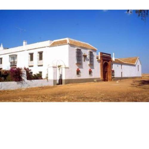 Spacious apartment in Carmona with garden