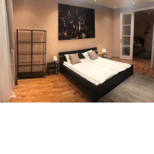 Spacious apartment in the city center