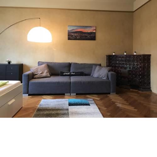 Spacious Apartment in the heart of Innsbruck