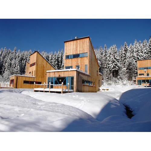 Spacious chalet in residential area, modern, luxury interior, large terrace