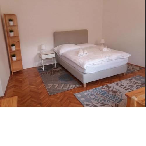 Spacious city centre apartment