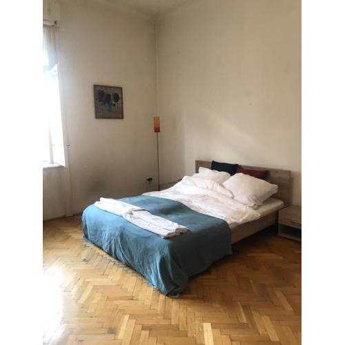 Spacious, comfortable apartment by Margit bridge