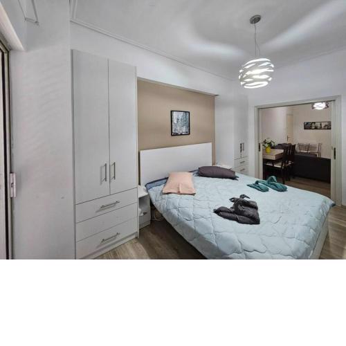 Spacious & Comfortable Modern House
